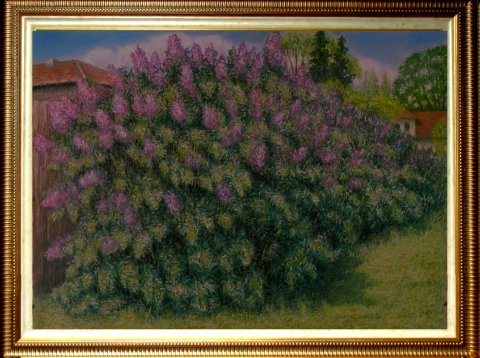 Люляков храст.